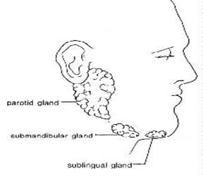 Management of Drooling of saliva