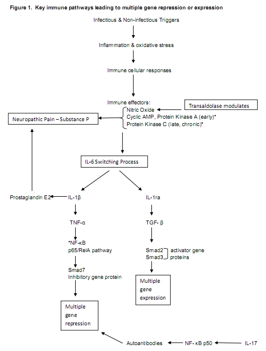 5 Conditions That Cause Vaginal Bleeding: A. Michael Coppa, MD: OB/GYNs